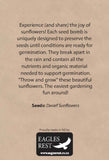 NZ Seed Bombs - Sunflower - Dwarf